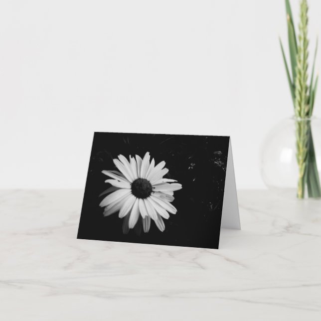 Carte Photographe notecards (Devant)