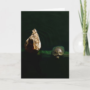 Carte Photographie d'art de la tortue et du canard