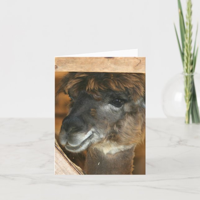 Carte Photographie de ferme d'animaux mignons lama Note (Devant)