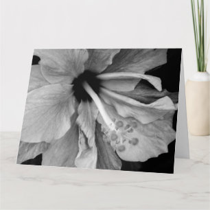 Carte Photographie de fleur d'Hibiscus