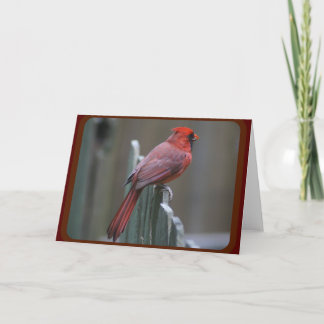 Carte Photographie de la nature