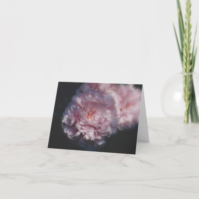 Carte Photographie de la nature (Devant)