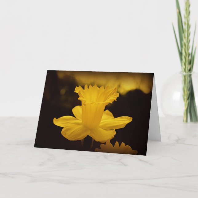 Carte Photographie de la nature (Devant)