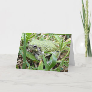 Carte Photographie de la nature du Gris oriental