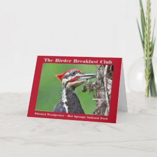 Carte Photographie de la nature Pic à tête rouge Ornitho