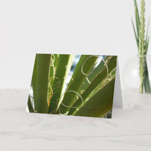 Carte Photographie de la nature verte Feuille du Yucca