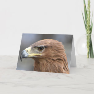 Carte Photographie de l'oeil d'aigle