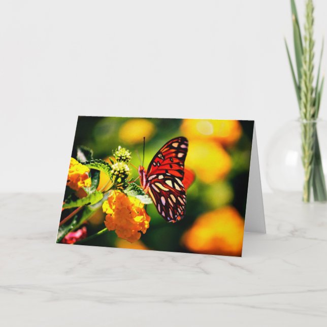 Carte Photographie de nature (Devant)