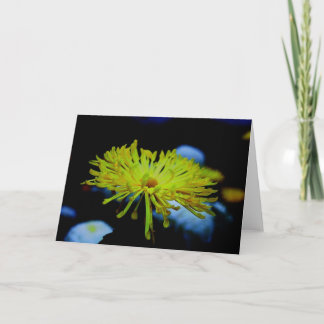 Carte Photographie de nature