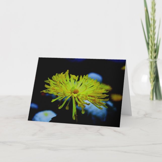 Carte Photographie de nature (Devant)