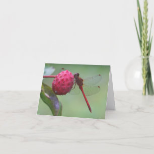 Carte Photographie de nature de libellule rouge Note