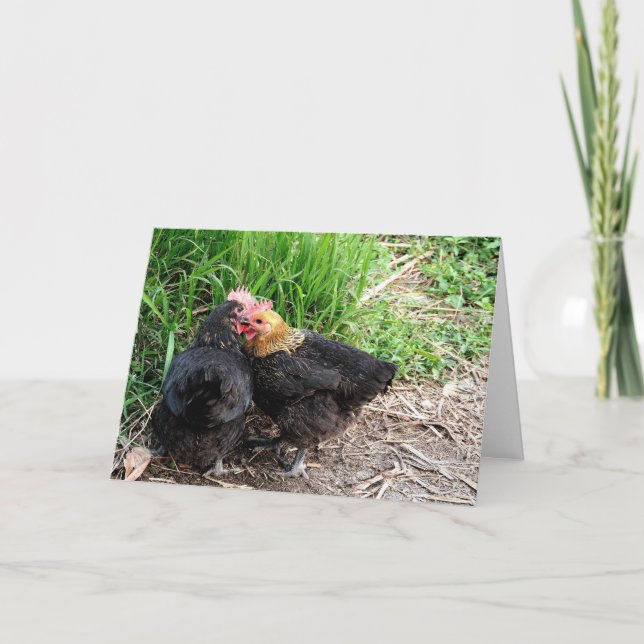 Carte Photographie de poules câlins personnalisée (Devant)