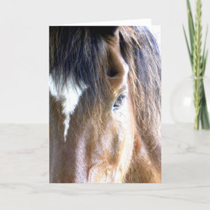Carte Photographie de près du visage d'un cheval à l'âme