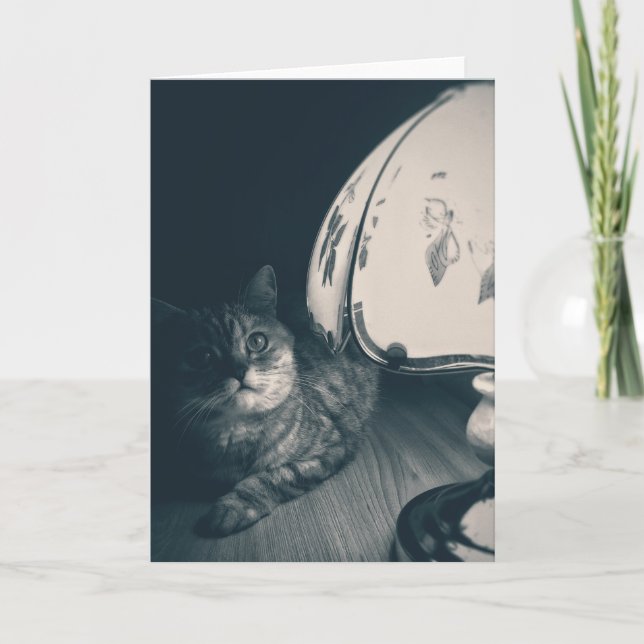 Carte Photographie de style noir de chats et lampes (Devant)