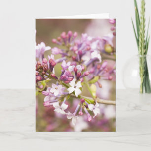 Carte Photographie des fleurs de Lilac printanières