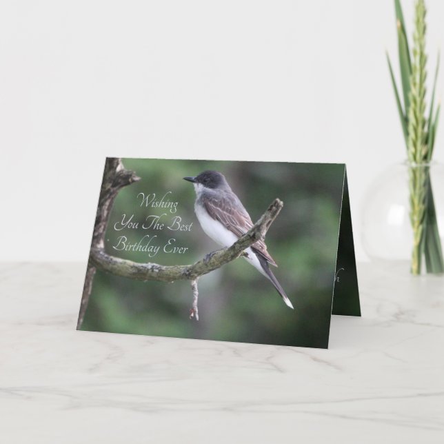 Carte Photographie d'oiseau gris (Devant)