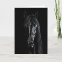 Photographie du Cheval Noir