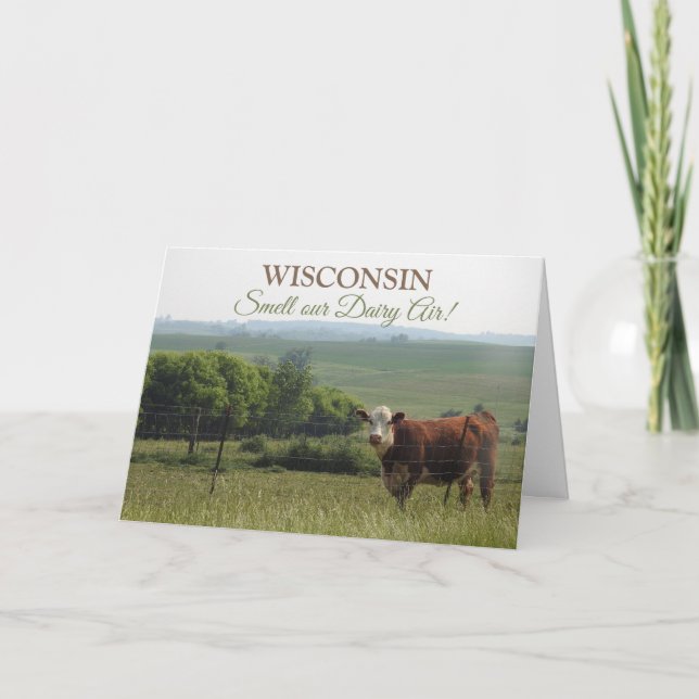 Carte Photographie du Midwest | Belle vache et paysage (Devant)