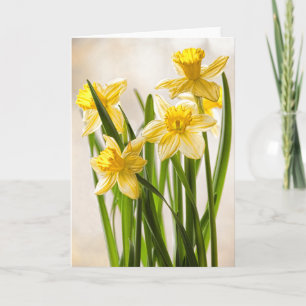 Carte Photographie florale : Daffodiles de printemps jau