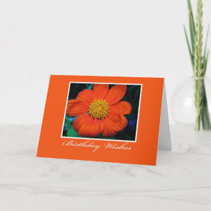 Carte Photographie florale Voeux d'anniversaire