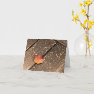 Carte photographie minimaliste de feuille d'érable en au