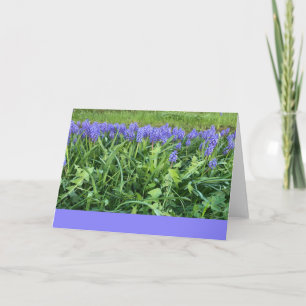 Carte Photographie Violet Bluebells - Herschberg, Allema