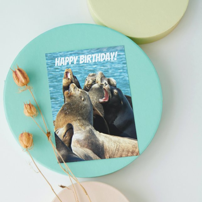 Carte Photos De Seal Lions De Tous Les Anniversaires (In Situ)