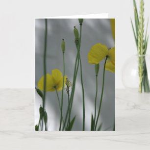 Carte Photos et ombre 9 Floral Photographie Salutation C