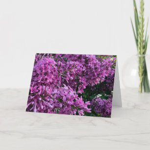 Carte Photos florales violettes lilas violet