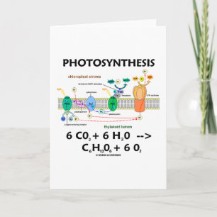 Carte Photosynthèse (dioxyde de carbone + eau)