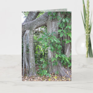 Carte Pi qui que ce soit ?