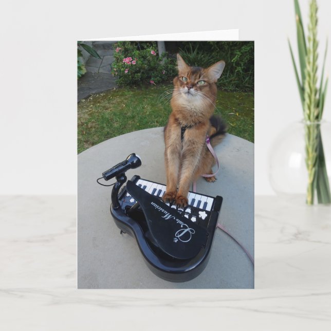 Carte Piano Cat, chanteur somalien jouant du piano amusa (Devant)