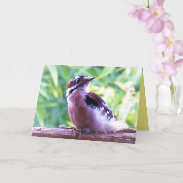 Carte Pic Downy jeune homme sur le rail (Orchidée)