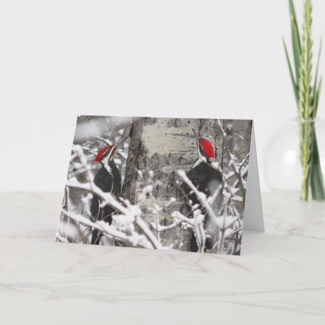 Carte Pic En Hiver (Devant)