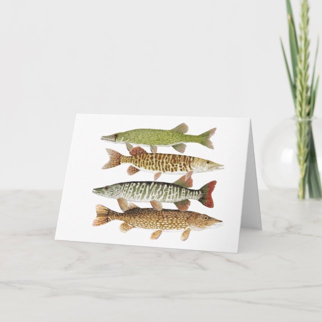 Carte Pickerel, Muskies et Pike (Devant)