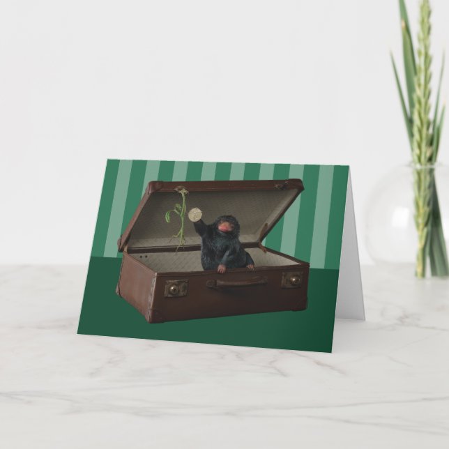 Carte Pickett & Teddy dans Porte-documents (Devant)