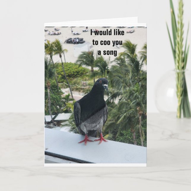 CARTE PIDGEON COOING *JOYEUX ANNIVERSAIRE* POUR VOUS ! (Devant)