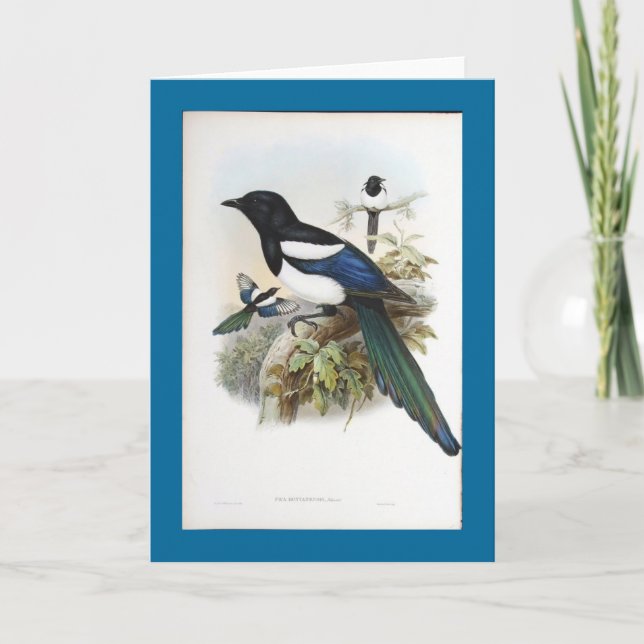 Carte Pie de Gould - de Bootan (Devant)