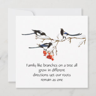 Carte Pie magpie famille citation animal nature  