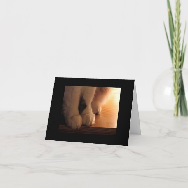 Carte Pieds de chat (Devant)