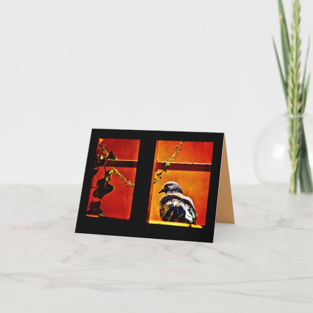 Carte Pigeon agréable (Devant)