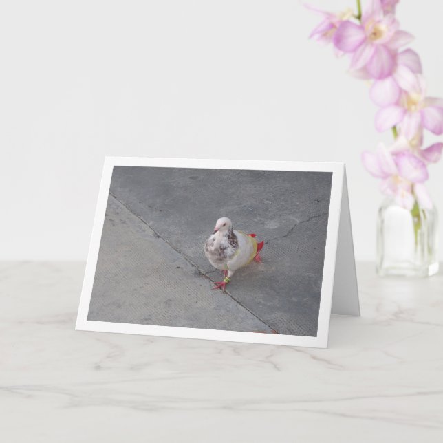 Carte Pigeon coloré au monastère de San Miguel (Orchidée)