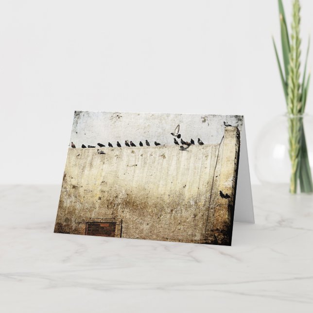 Carte Pigeons sur un toit, Anniversaire (Devant)