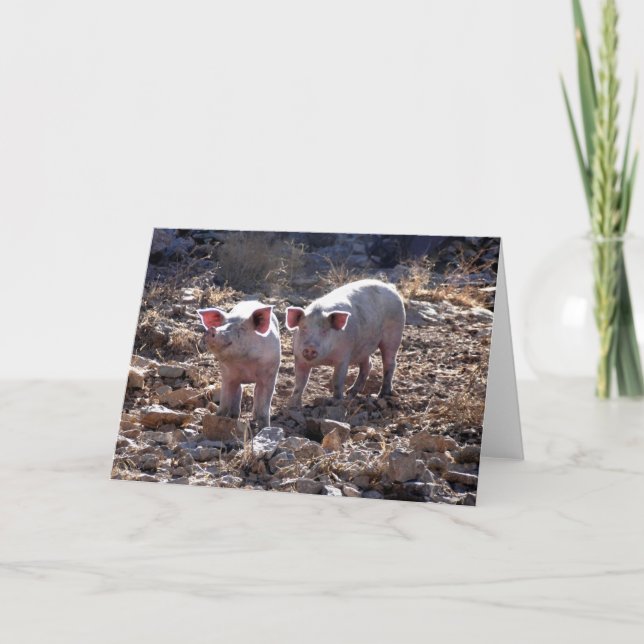 Carte Piges (Devant)