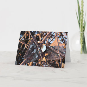 Carte Pile de soie rouillée, Anniversaire