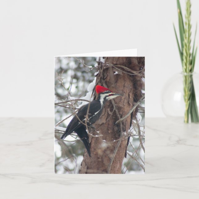 Carte Pileated Woodpecker (Devant)