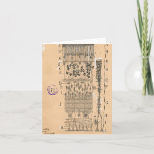 Carte Piles Dessin Oeil Retina Santiago Ramon Y Cajal