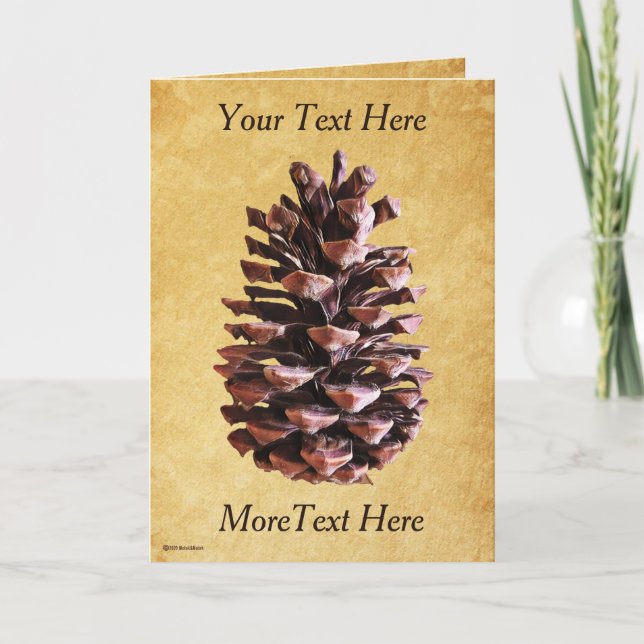 Carte Pine Cône Sur Papier Vintage (Devant)