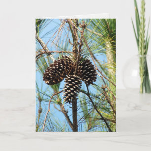 Carte Pine Tree