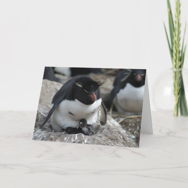 Carte Pingouin de Rockhopper avec des poussins (Devant)